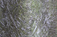 Minster Lovell fibreglass roof work